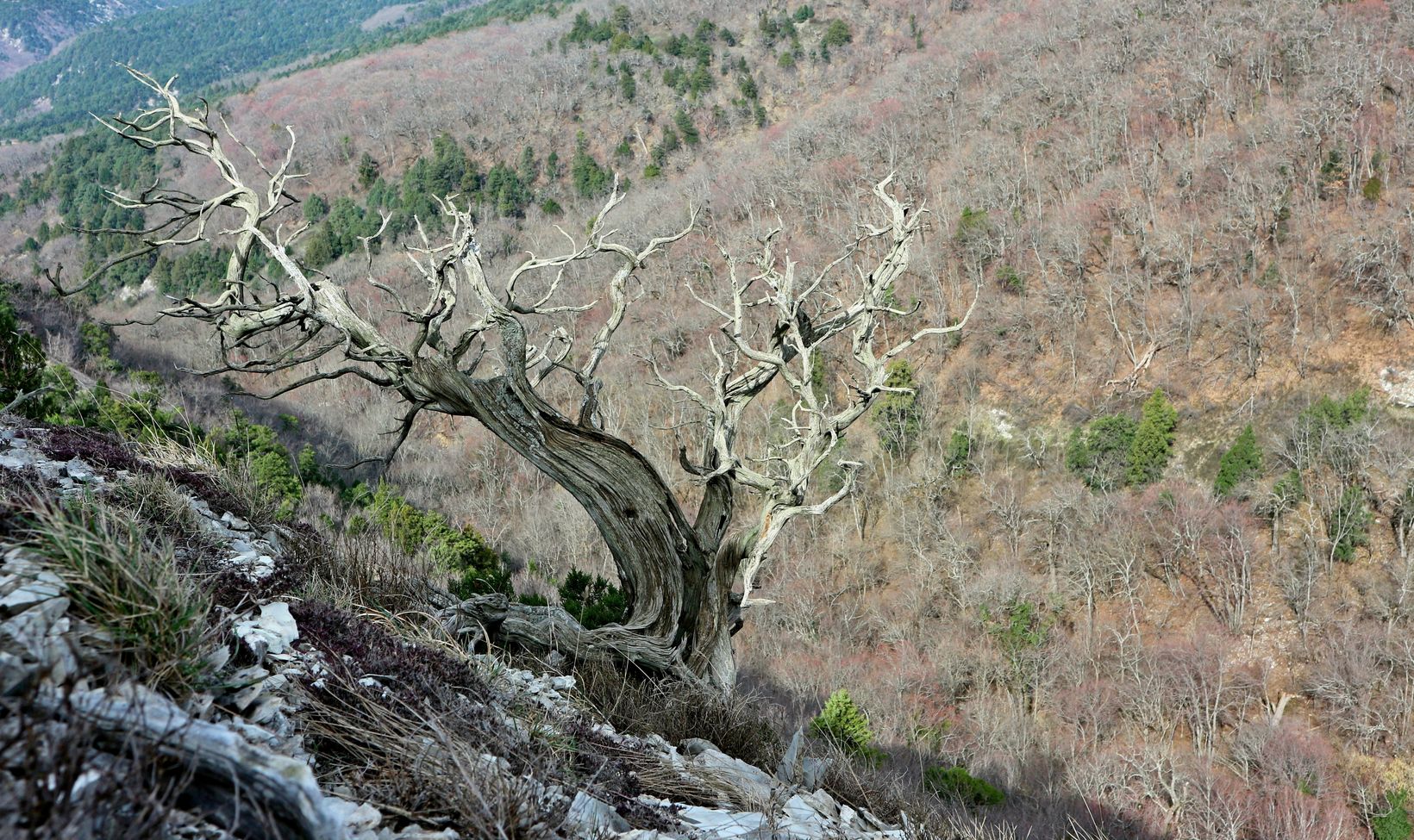 Пенайская щель, image of landscape/habitat.