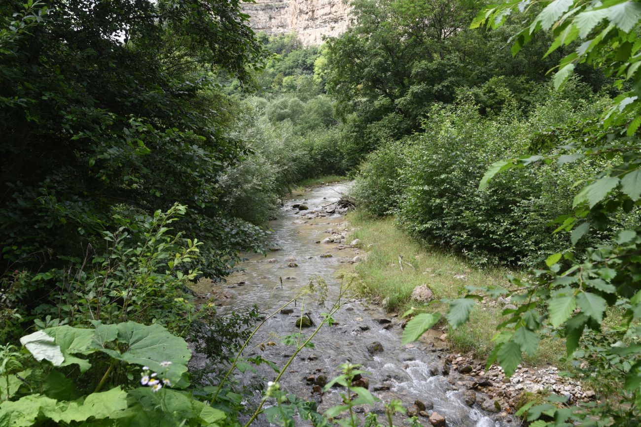 Тызыльское ущелье, image of landscape/habitat.