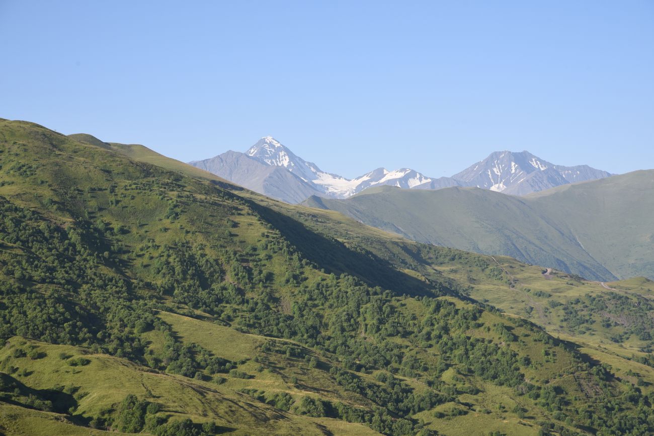 Окрестности горы Чархунышкорт, изображение ландшафта.