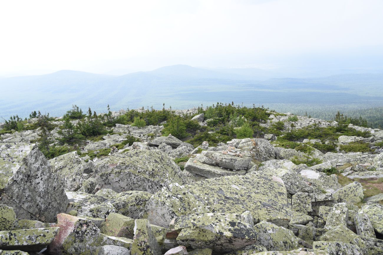 Круглица, image of landscape/habitat.