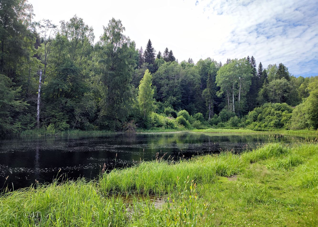 Устье Сюскюянйоки, image of landscape/habitat.