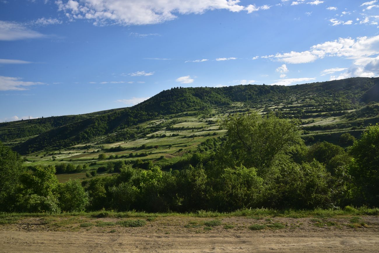 Окрестности села Гуркели, image of landscape/habitat.