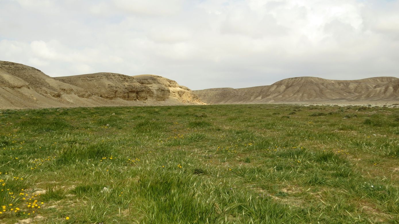 Верховья Нахаль-Хайун, image of landscape/habitat.