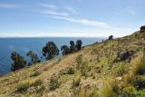 Image of landscape