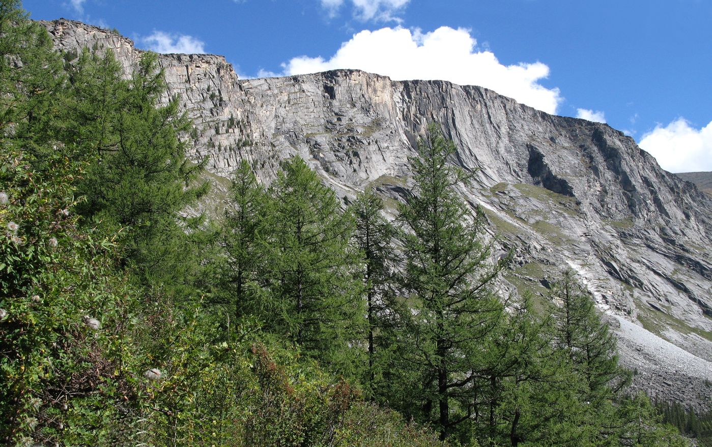 Ущелье реки Текелю, image of landscape/habitat.