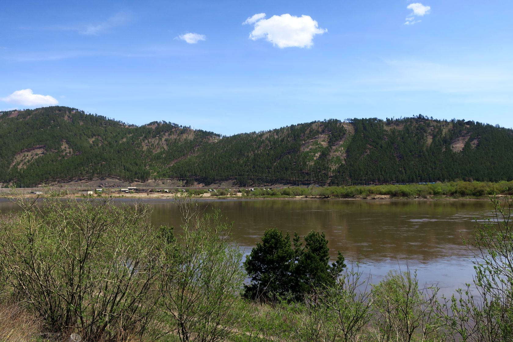 "Панорама", image of landscape/habitat.