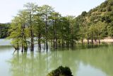 Image of landscape