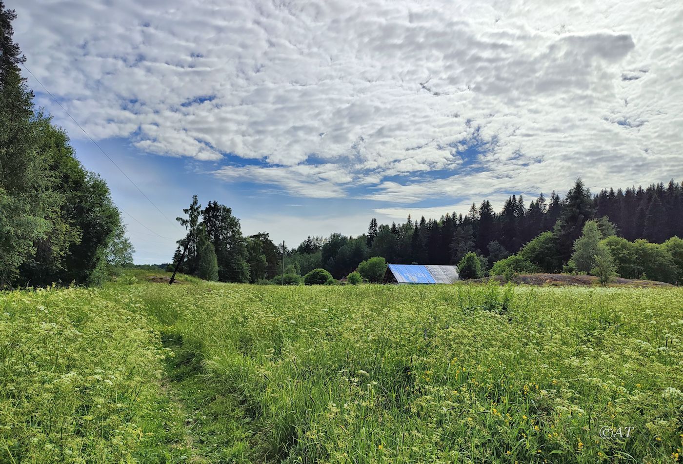 Устье Сюскюянйоки, image of landscape/habitat.