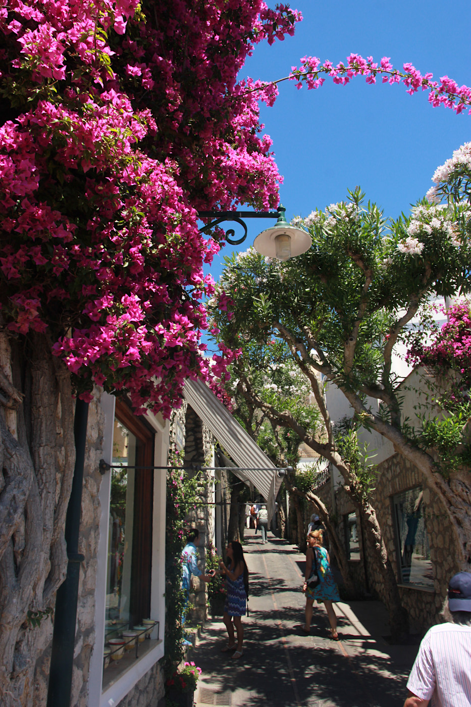 Капри, image of landscape/habitat.