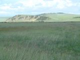 Долина реки Куда, image of landscape/habitat.