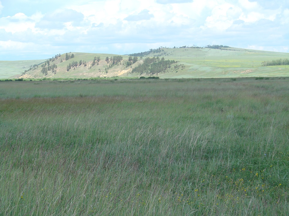 Долина реки Куда, image of landscape/habitat.