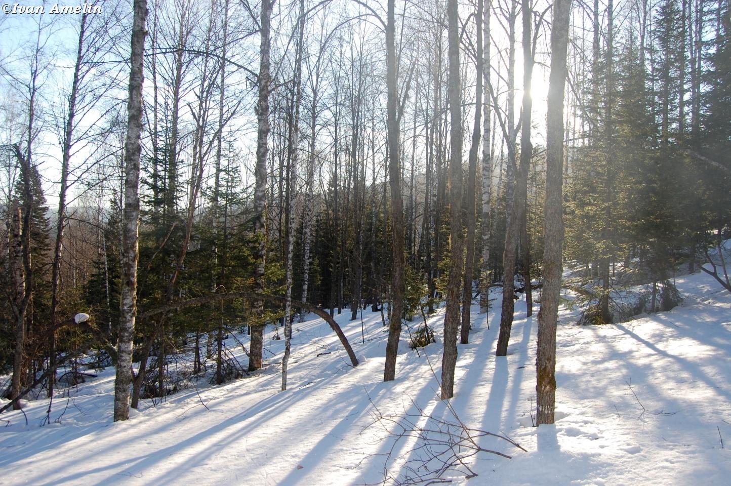 Река Солдатка, image of landscape/habitat.