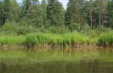 Image of landscape