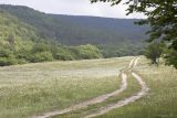 Куйбышево и окрестности, image of landscape/habitat.