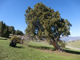 Image of landscape