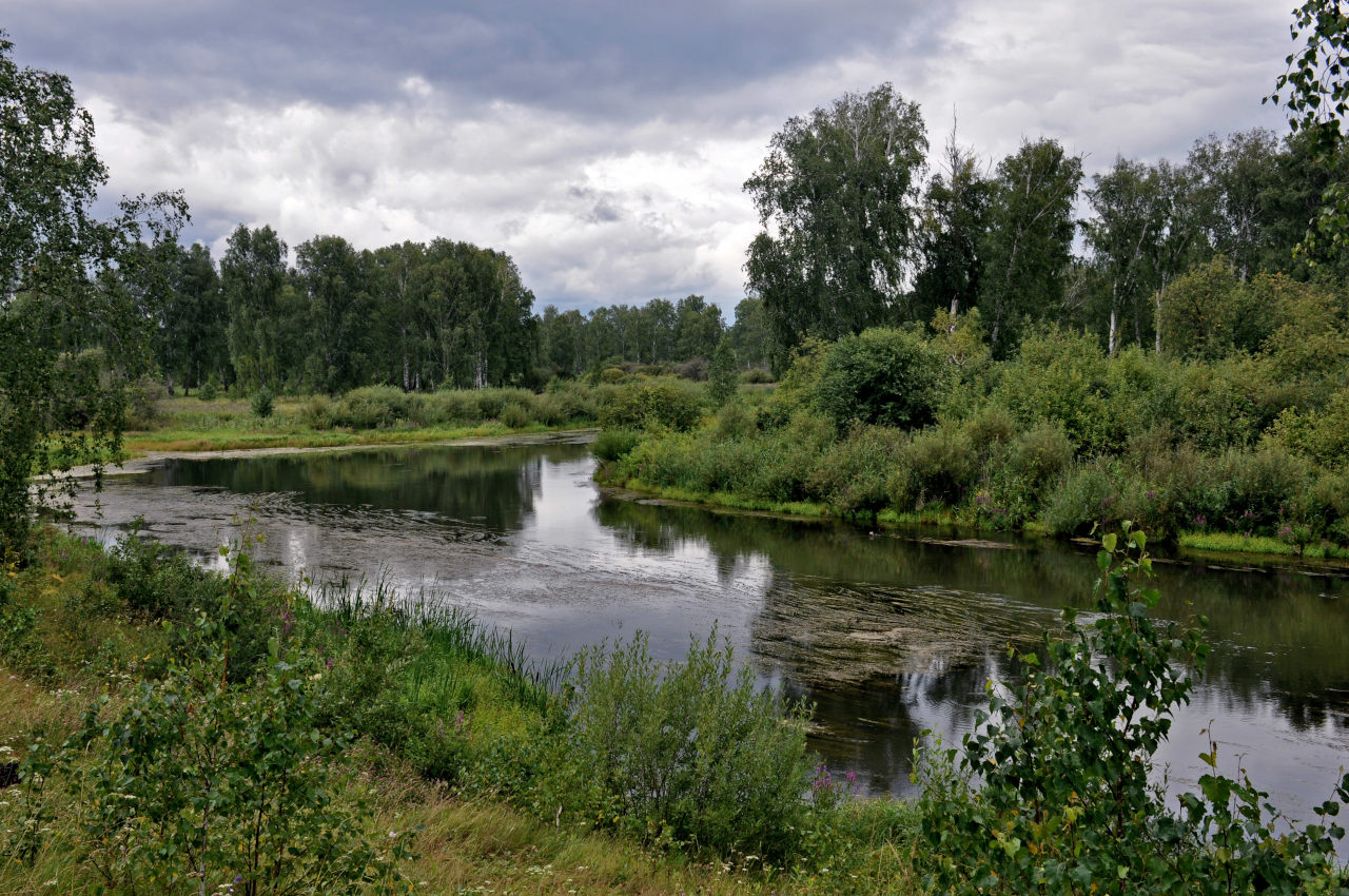 Окрестности села Кайгородово, изображение ландшафта.