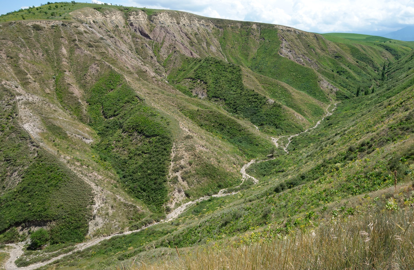 Окрестности Бишкека, предгорье, изображение ландшафта.