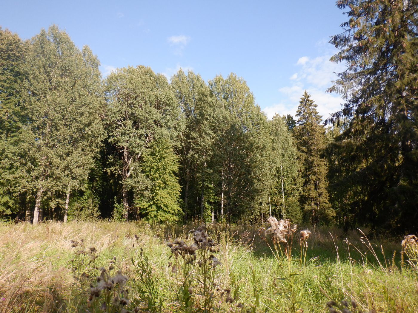 Знаменское-Раёк, image of landscape/habitat.