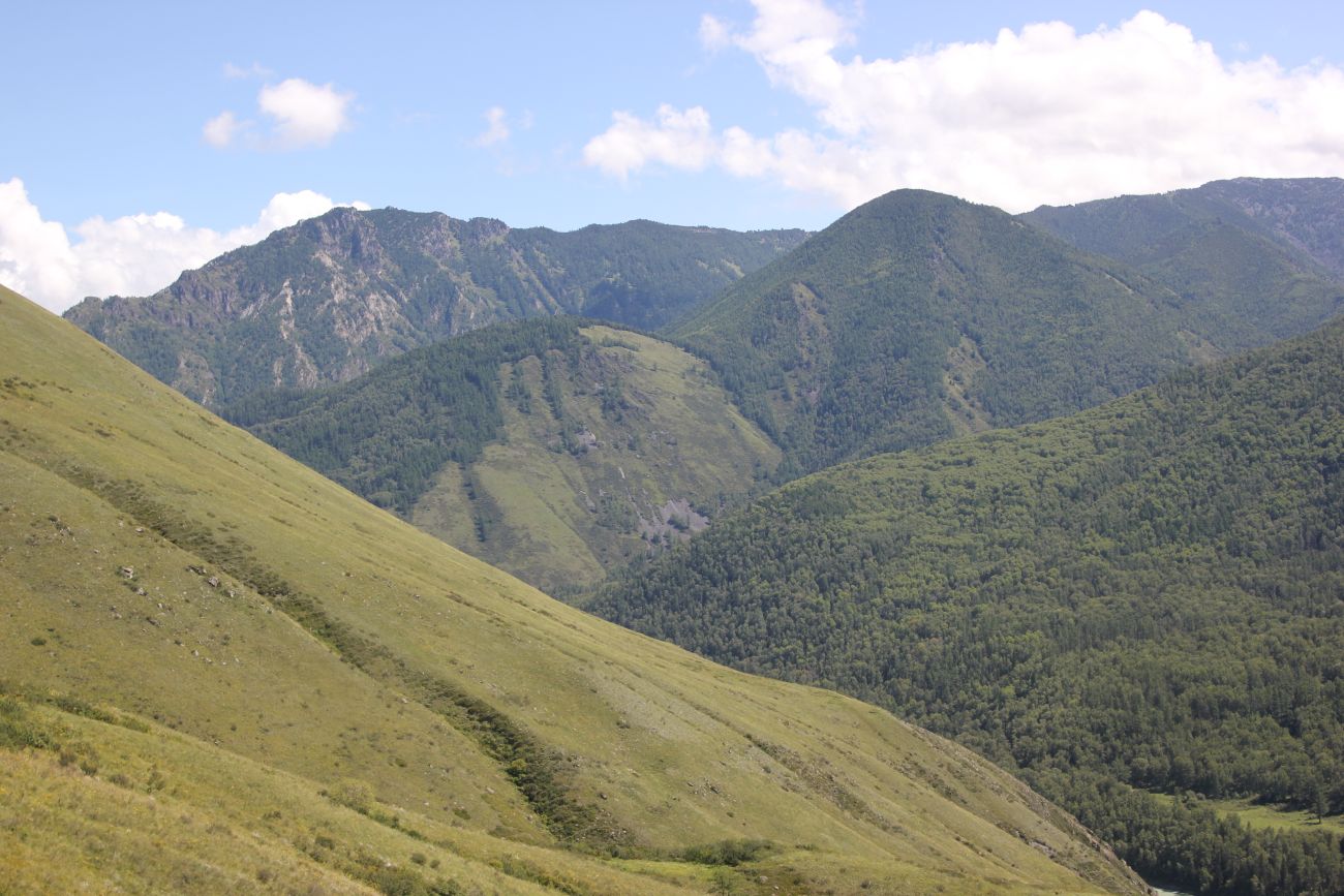 Окрестности ручья Барбыш, image of landscape/habitat.