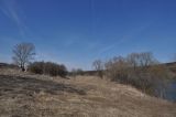 Image of landscape