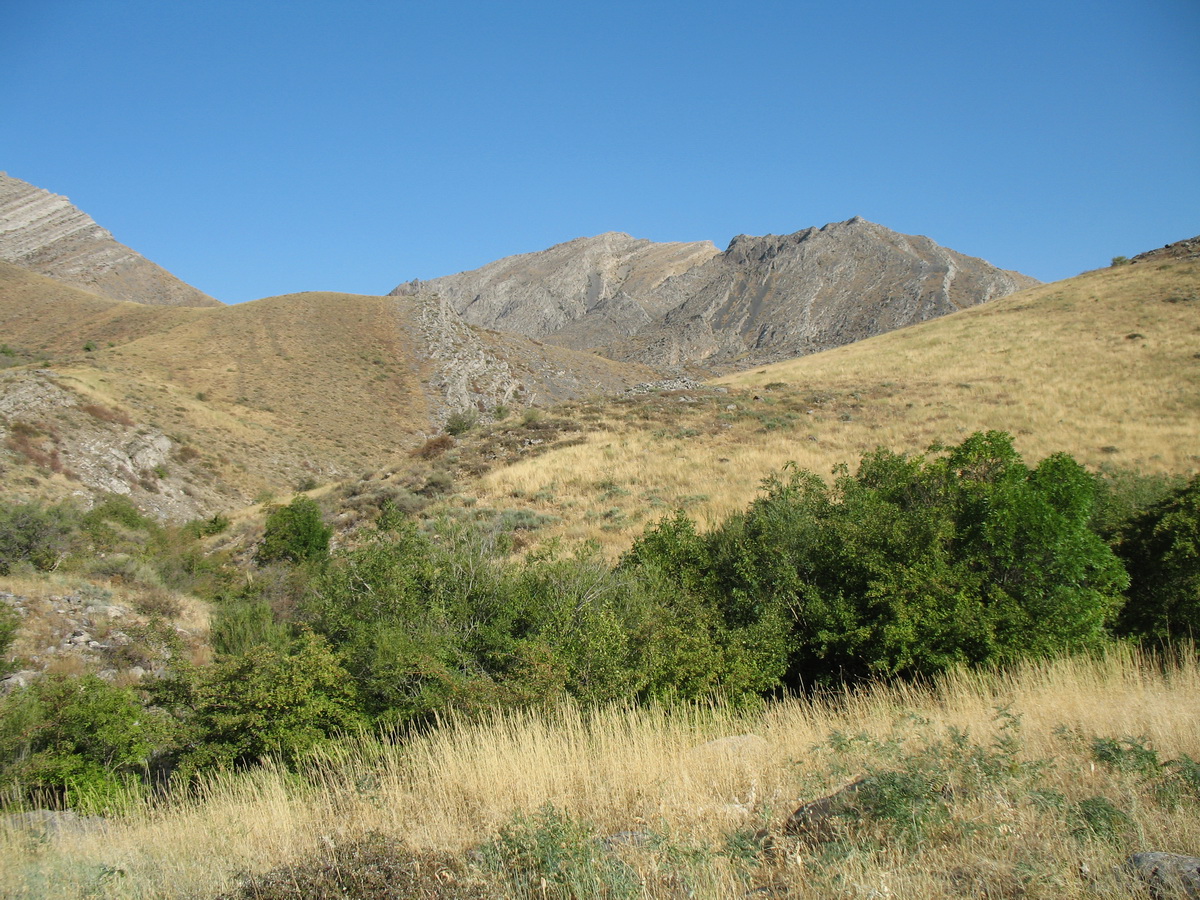 Биресик, image of landscape/habitat.