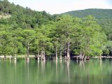 Image of landscape