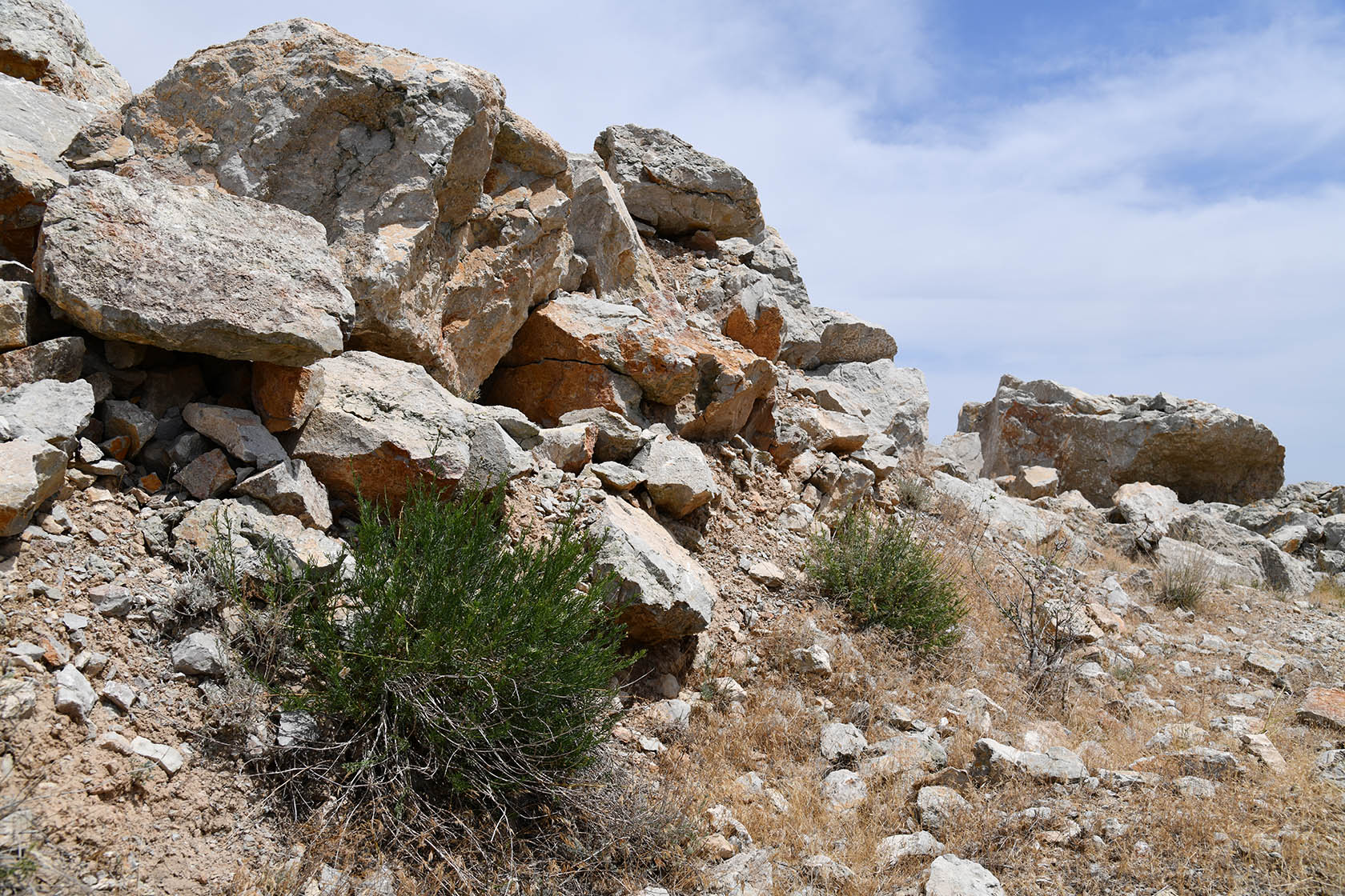 Ак-Чеку, image of landscape/habitat.