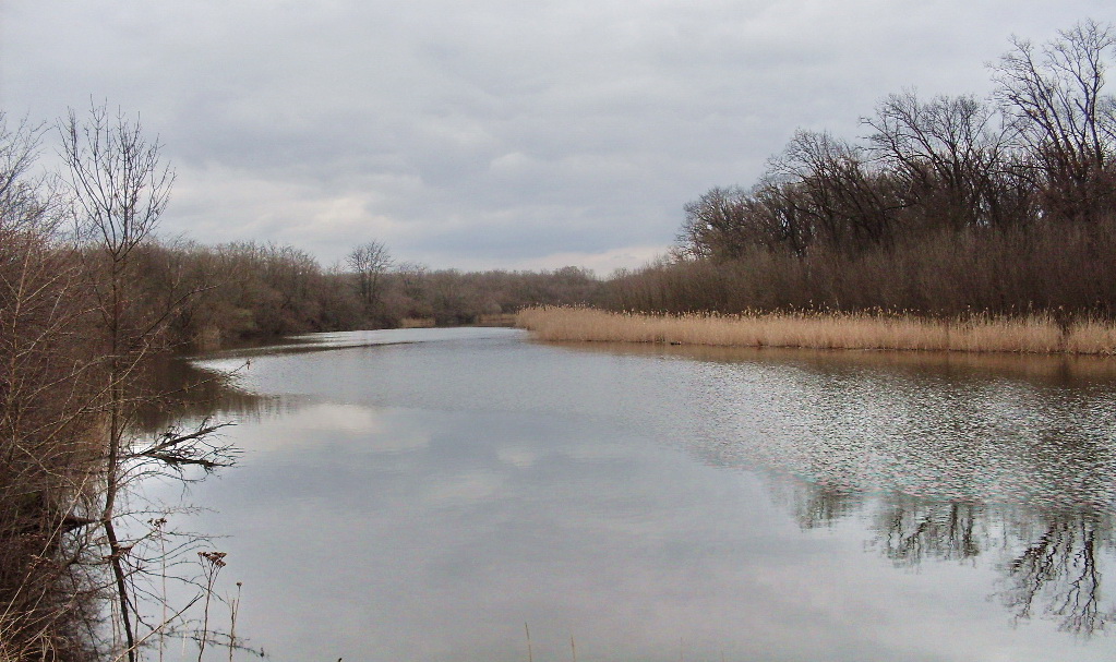 Александровский лес, image of landscape/habitat.