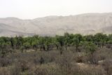 Image of landscape