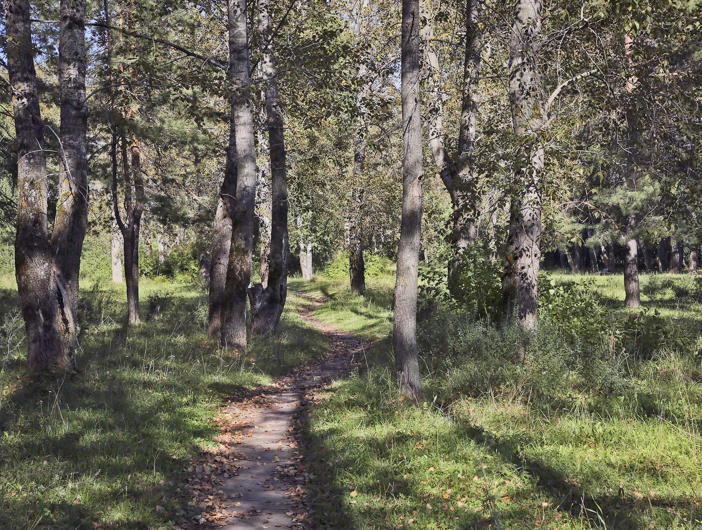 Закамск, image of landscape/habitat.