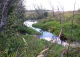 Латка, image of landscape/habitat.