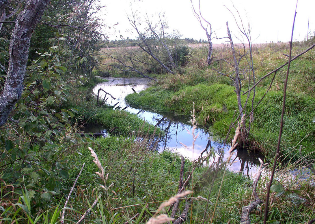 Латка, image of landscape/habitat.