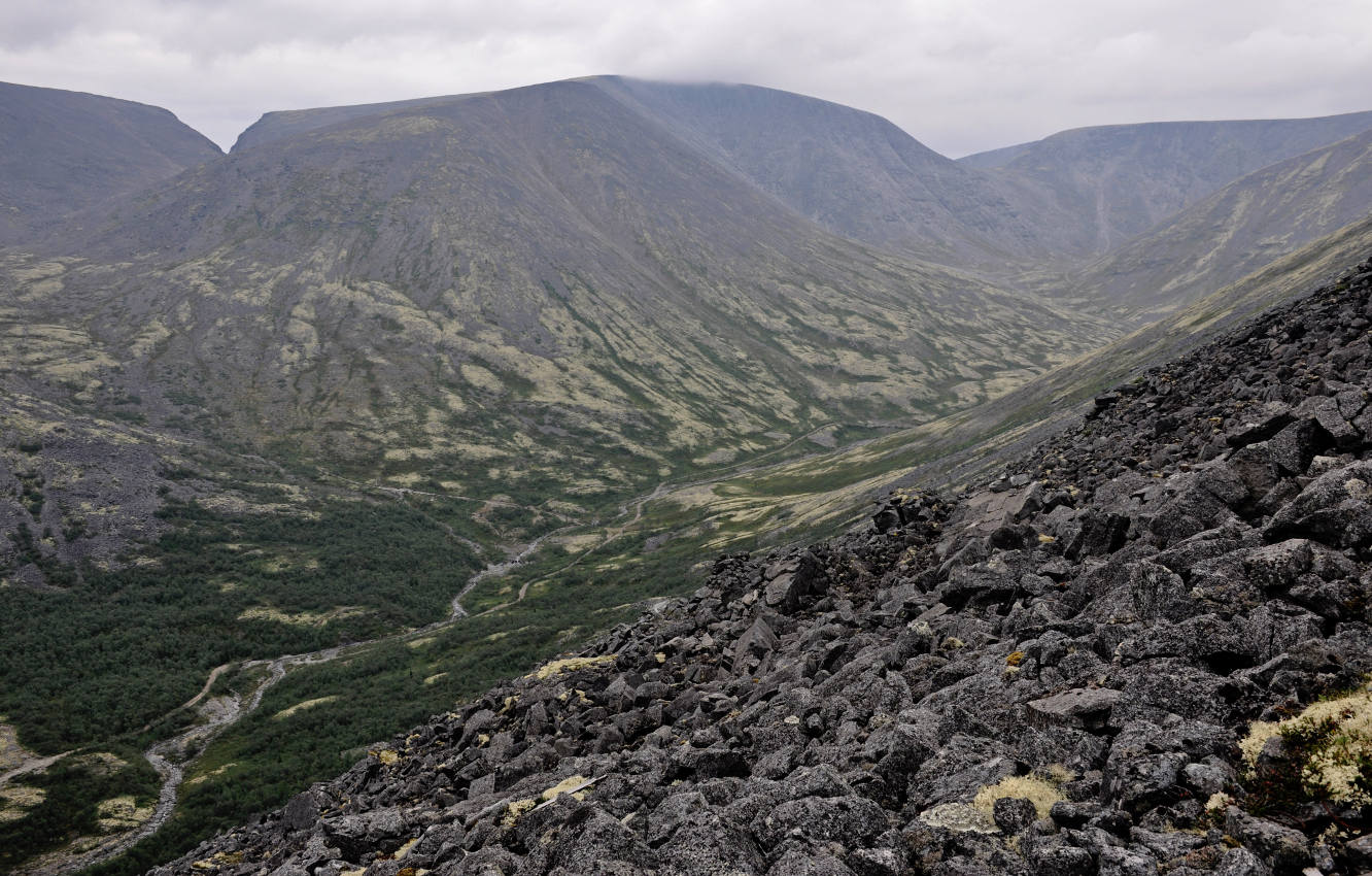 Долина реки Рисйок, image of landscape/habitat.