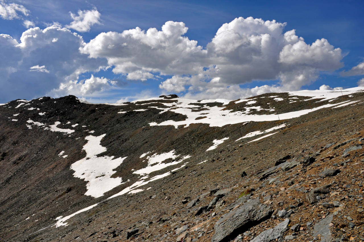 Гора Лысуха, image of landscape/habitat.