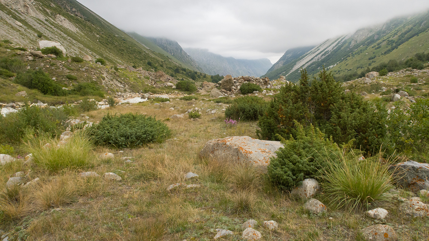 Черек-Безенгийское ущелье, image of landscape/habitat.