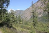 Image of landscape