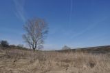 Окрестности села Хитрово, image of landscape/habitat.