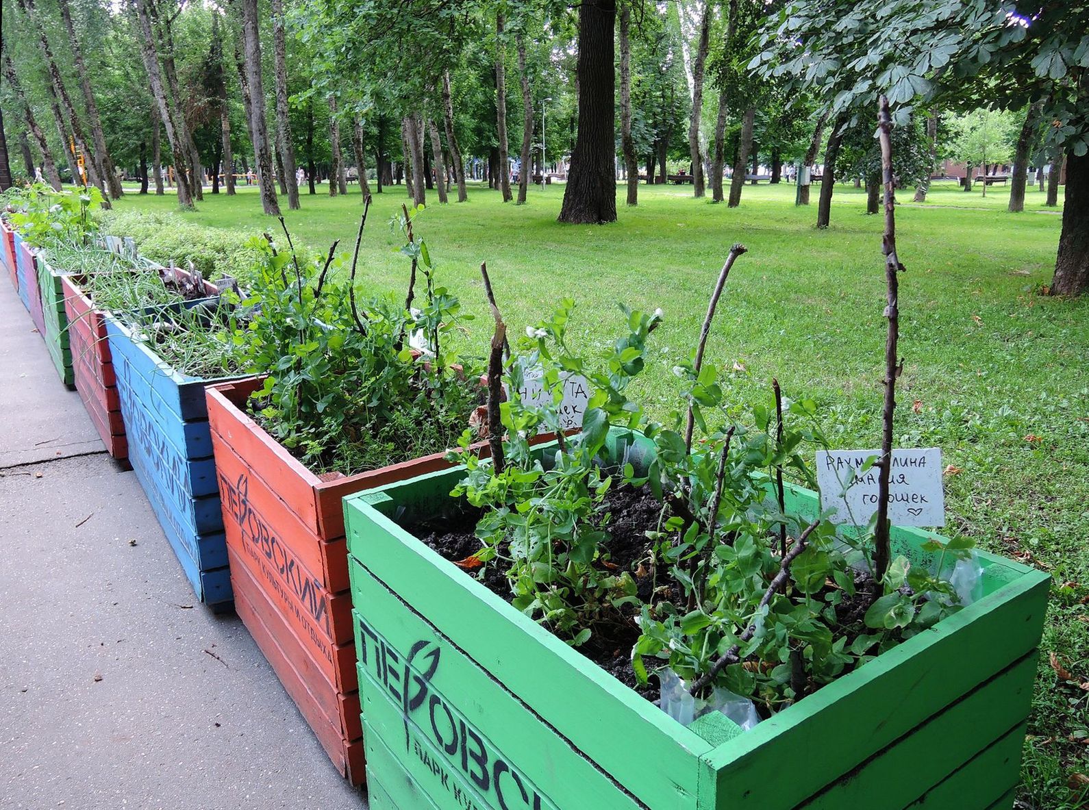 Перовский парк, изображение ландшафта.