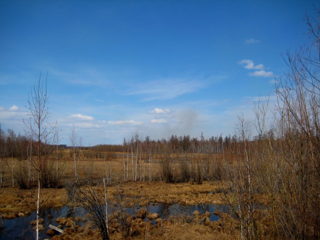 Кескил, image of landscape/habitat.