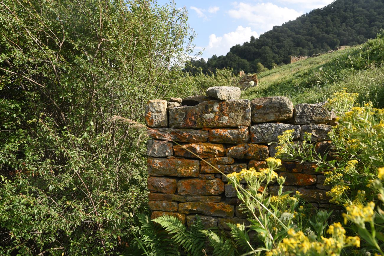 Урочище Цеси, image of landscape/habitat.