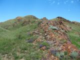 Image of landscape