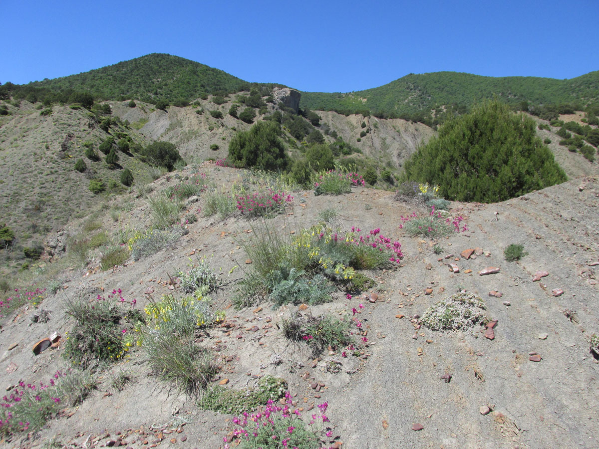 Перчем, image of landscape/habitat.