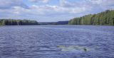 Image of landscape