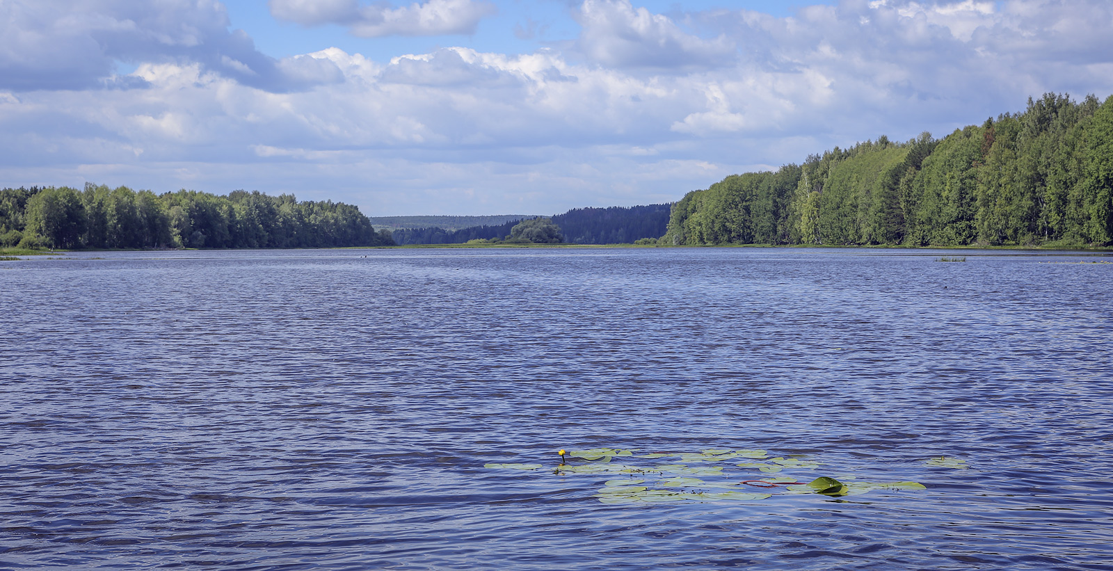 Кунчурихинский бор, image of landscape/habitat.
