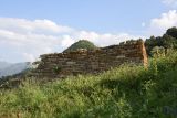 Урочище Цеси, image of landscape/habitat.