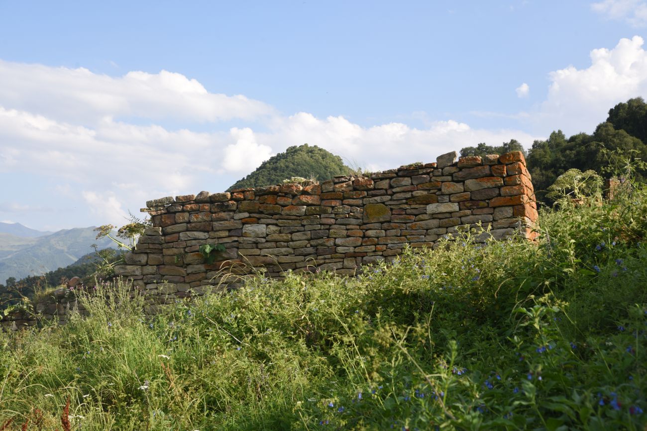 Урочище Цеси, image of landscape/habitat.