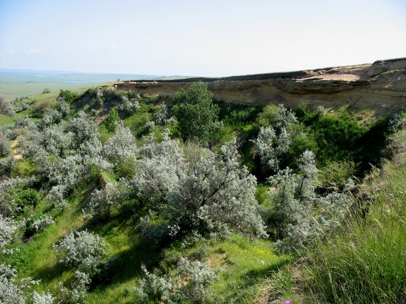 Бешпагирские высоты, image of landscape/habitat.