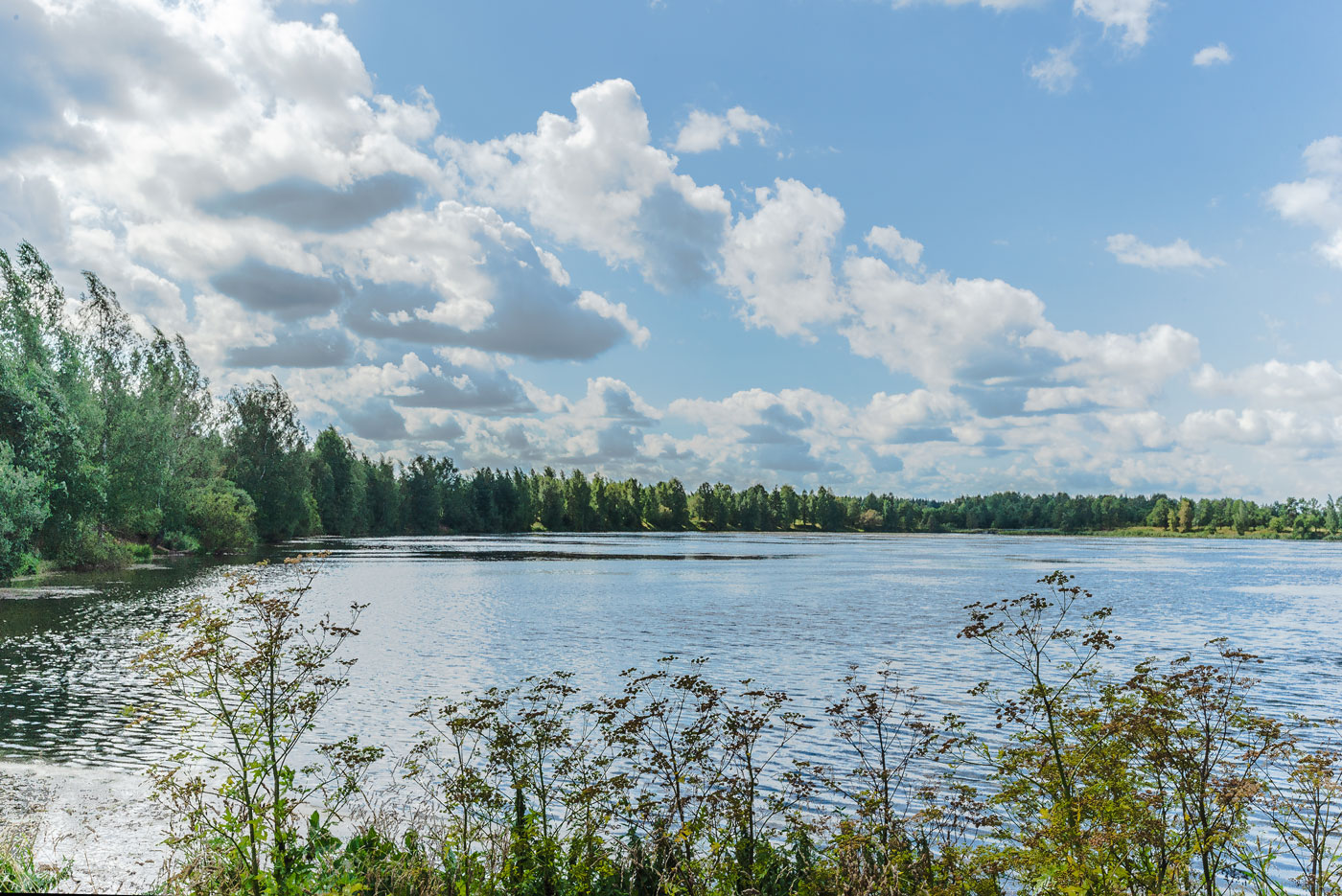 Низино, image of landscape/habitat.