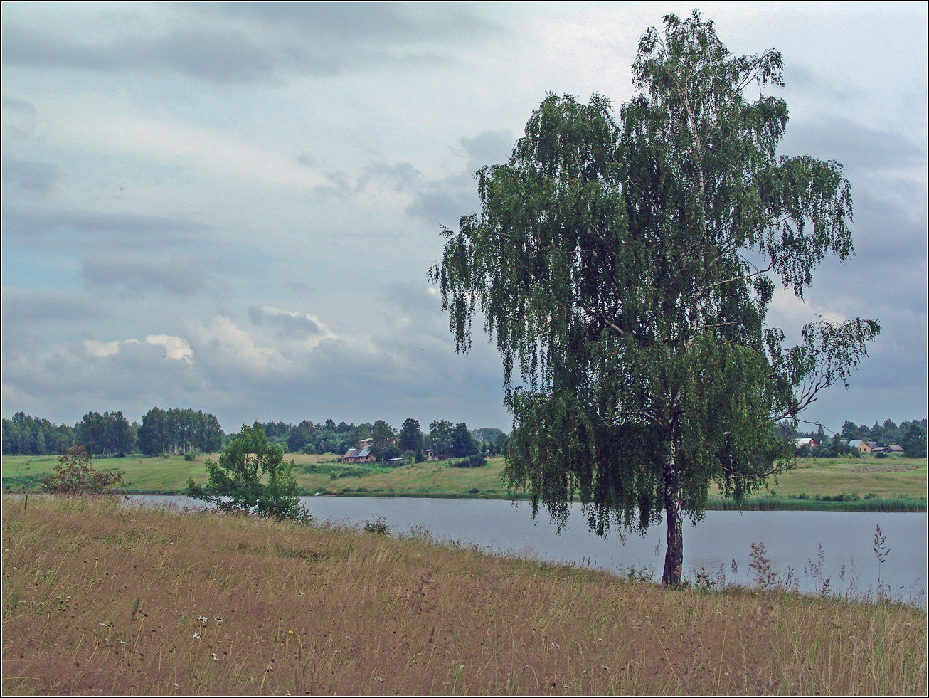 Вазуза, image of landscape/habitat.