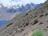 Image of landscape